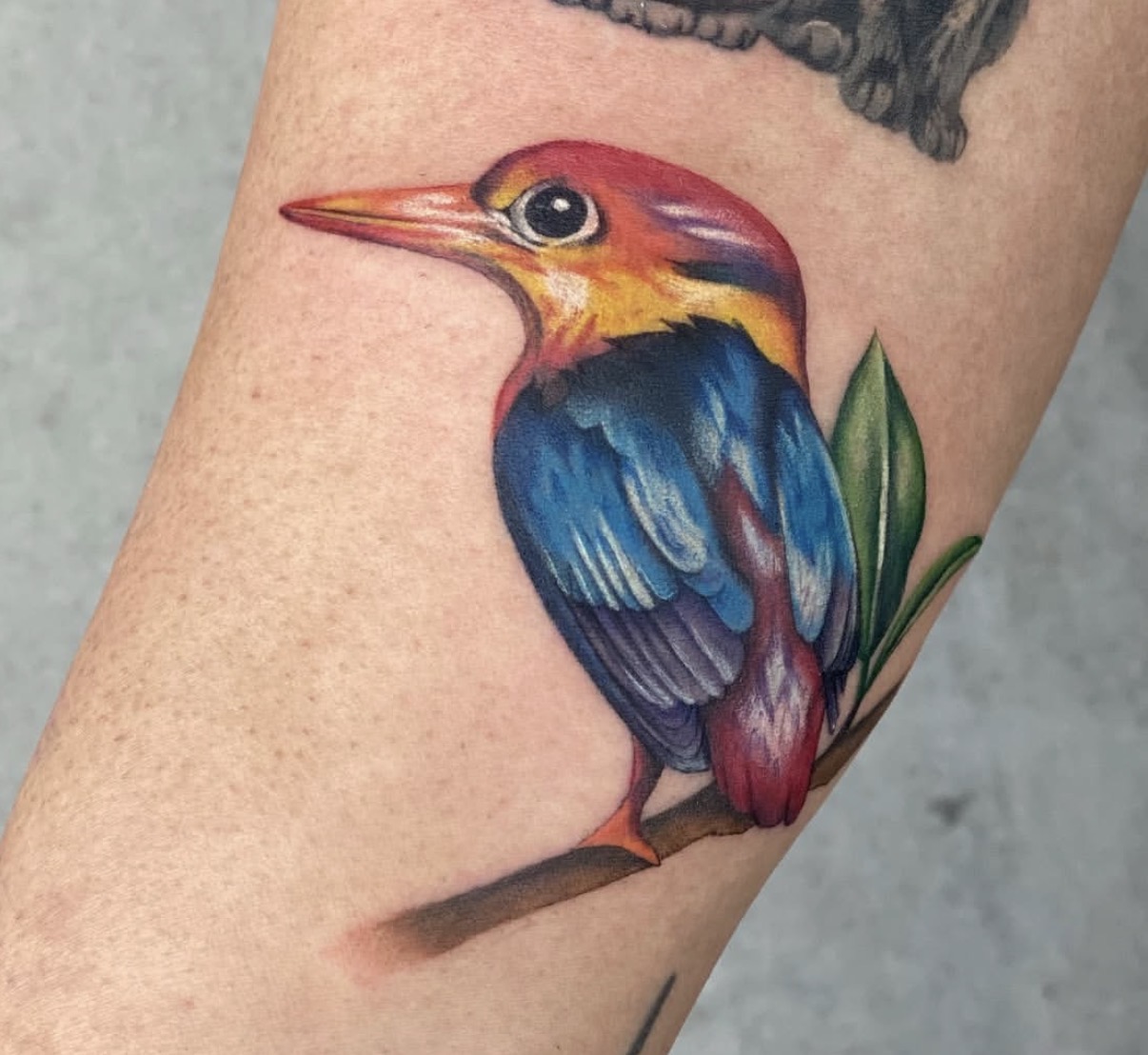 Rachel specializes in color realism and watercolor tattoos — tattoo by Rachel, tattoo artist in Los Angeles (portfolio 12)